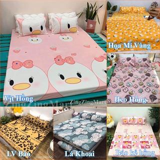 (Giá hủy diệt) Bộ Ga Gối Poly Cotton M6/M8 ( Được Chọn Mẫu)