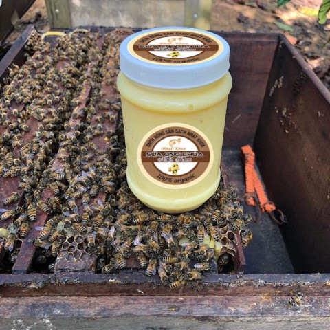 500g sữa ong chúa tươi 100% đạt ATTP