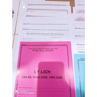 Hồ Sơ Cán Bộ Công Chức, Viên Chức tt07/2019 Combo( 100 bộ)