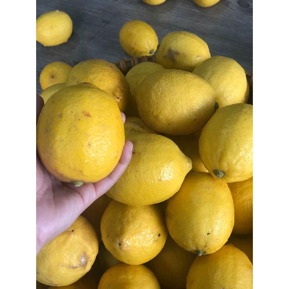 Chanh vàng nhập khẩu Mỹ 500g