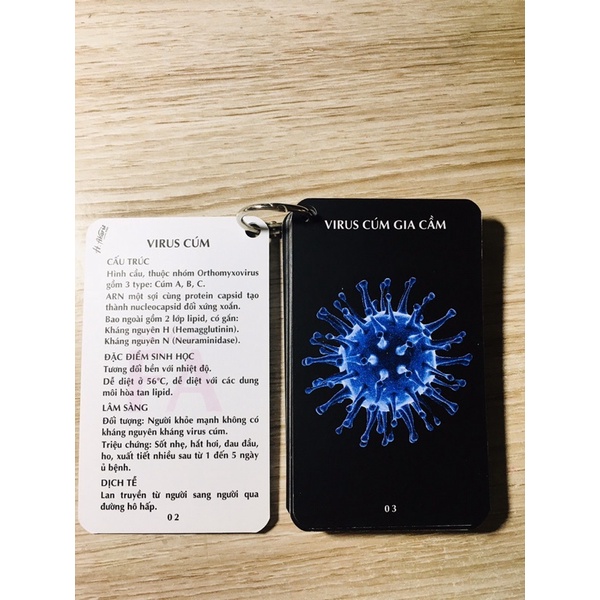 Sổ tay FA vi sinh - Virus//flashcard vi sinh- Virus