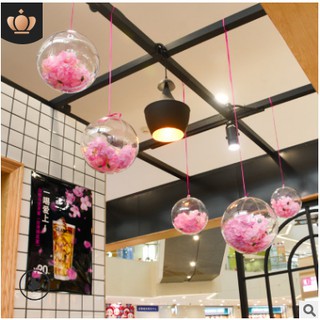 HY COMBO 5 Bóng nhựa tròn trong suốt đựng đồ trang trí đa dụng xinh xắn