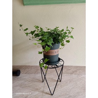 Chân sắt kê chậu cây kiểng size 220X270 .