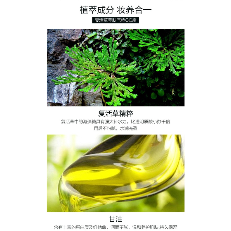 [Hàng mới về] Kem CC Cream QISE dưỡng ẩm làm sáng da tự nhiên dành cho trang điểm | BigBuy360 - bigbuy360.vn