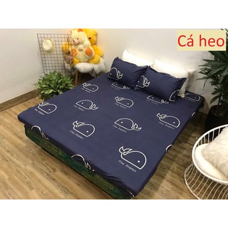 Combo Ga Chun Kèm Vỏ Gối Nằm Poly (Chat Với Shop Để Chọn Mẫu )