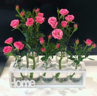 Set 5 lọ hoa
