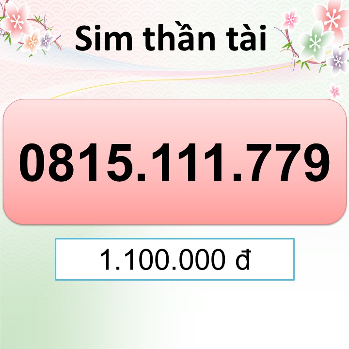 SIM SỐ ĐẸP đuôi 69 6669