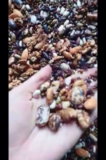 Bột ăn dặm 500g