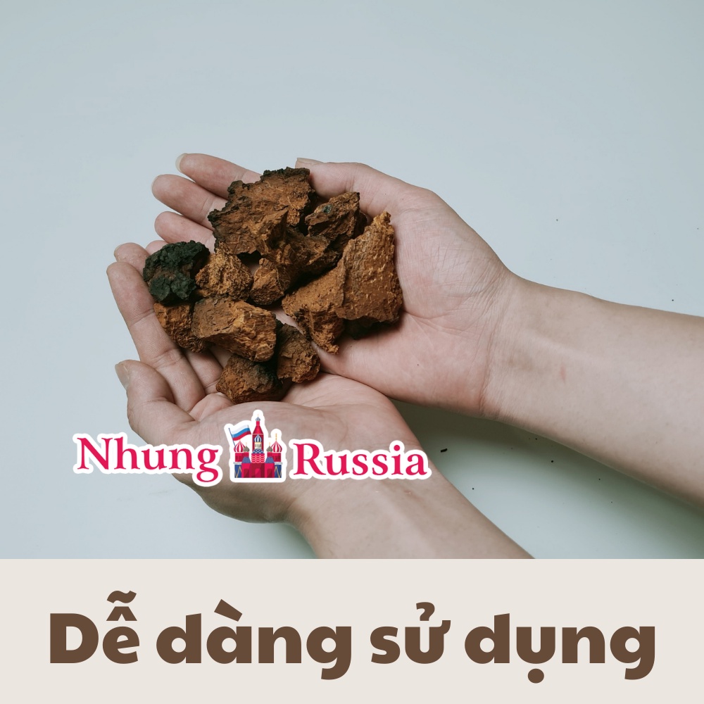 Nấm Chaga của Nga Loại 1