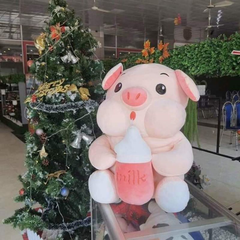 Gấu bông heo ôm bình sữa, gấu bông heo cầm bình sữa khủng lồ