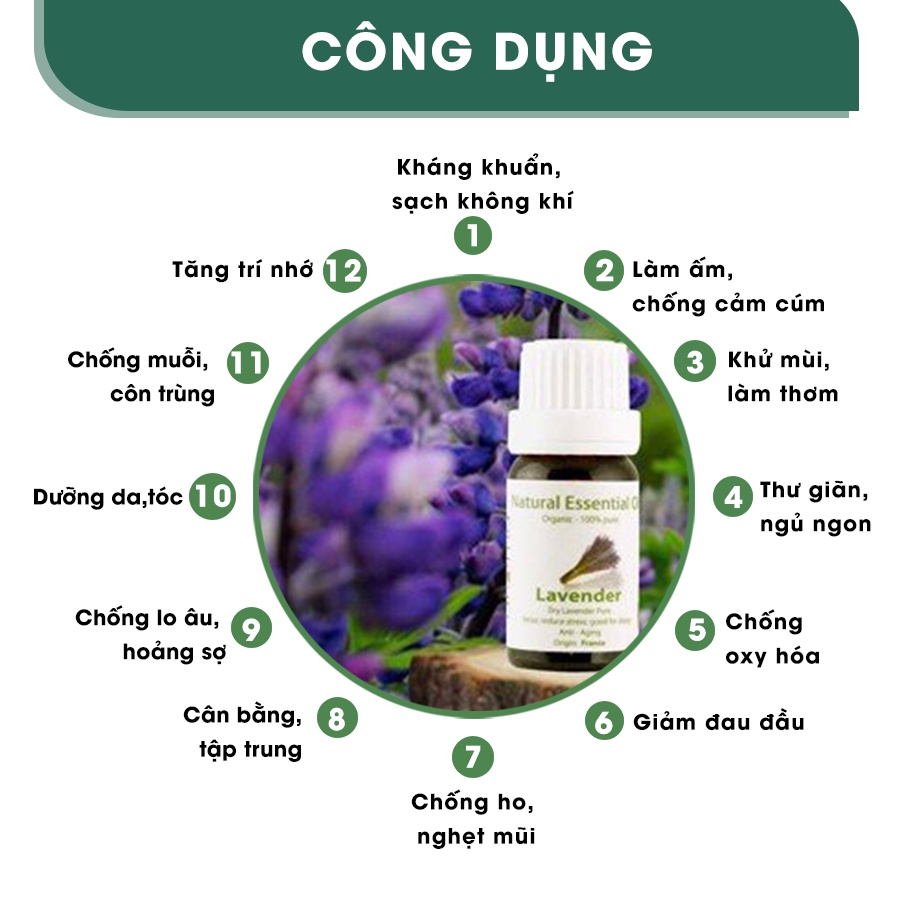 Tinh dầu Oải hương Aroma thơm nhà, kháng khuẩn, chống đuổi muỗi, sạch không khí, làm sạch bề mặt 30ml