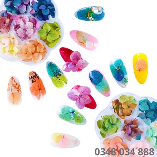 Hoa khô lụa cánh to ẩn móng nail trang trí móng