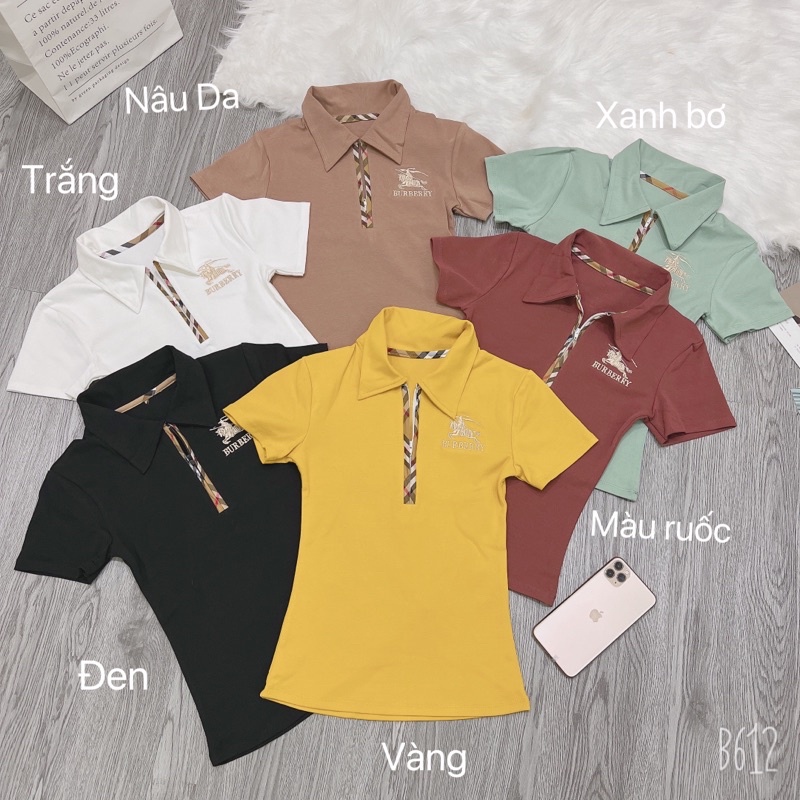 Áo thun body thêu Lô Gô BB phối khoá kéo