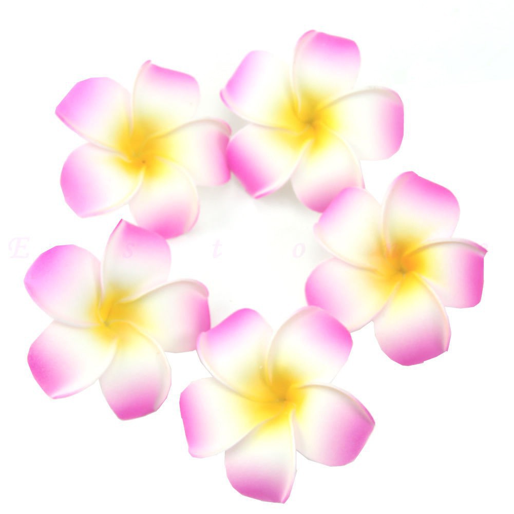 Bộ 10 hoa sứ giả phong cách Hawaii