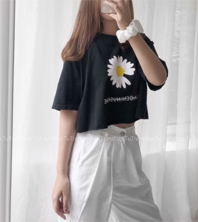 ÁO CROPTOP HOA CÚC