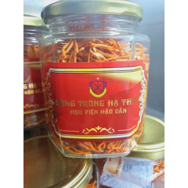 Đông trùng hạ thảo Học viện Hậu cần hộp 20g