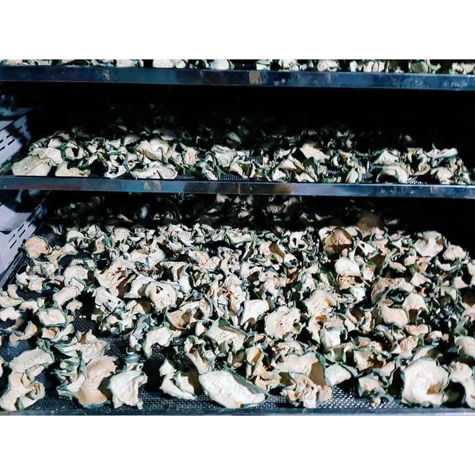 500gr Trà bí đao giảm cân, phơi khô tự nhiên (xanh, thơm, đẹp, không chất bảo quản)