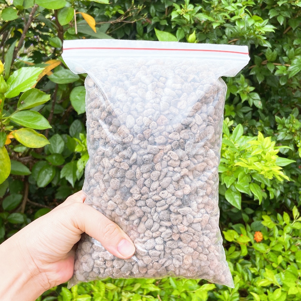 Đá Pumice, đá bọt nhiều kích thước trồng lan, tiểu cảnh Terrarium giúp thoát nước