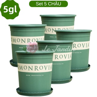 Set 5 chậu nhựa trồng cây monrovia 5gl cao cấp chính hãng