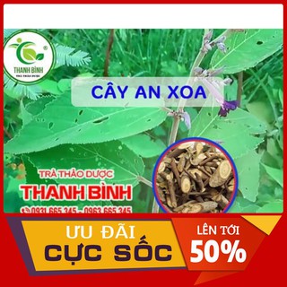 Cây An Xoa Khô 1Kg - Hàng Loại 1 - Thảo Dược Thanh Bình