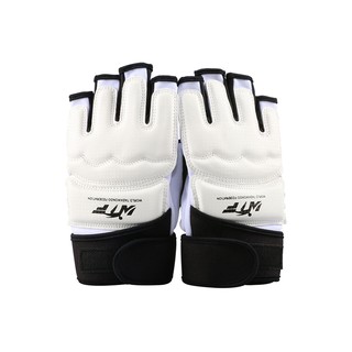 BẢO HỘ BÀN TAY TAEKWONDO