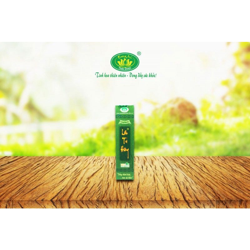 Liễu Tri Hương - hương thảo dược Phương Anh 2 tấc 200 cây