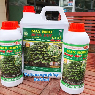 Phân bón lá max root bung đọt 1lit - bung đọt ra rễ mai vàng 1 lít, chuyên dùng cho mai vàng