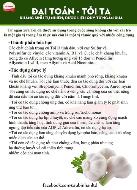 Tinh dầu tỏi Cầu Bình An (phiên bản mới nâng cấp vượt trội hàm lượng Allicin)