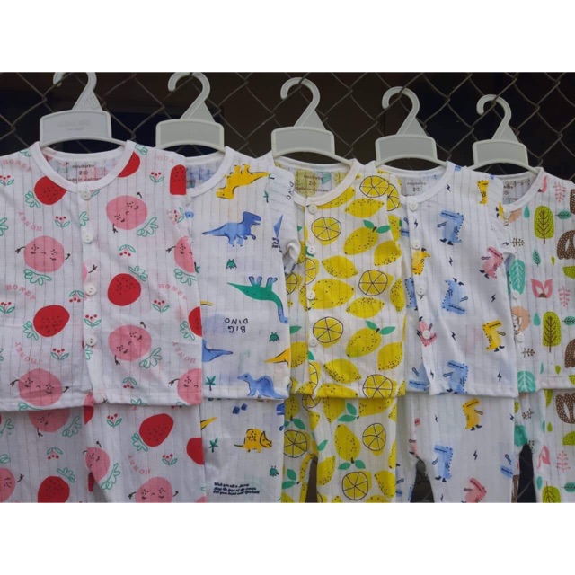 Set bo côttn giấy cho nê