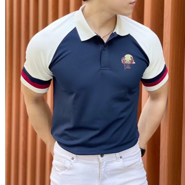Áo thun nam polo phối màu thời trang, vải thoáng mát mềm mịn - HK243