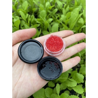 Tẩy tế bào chết môi handmade_ lip scrub handmade