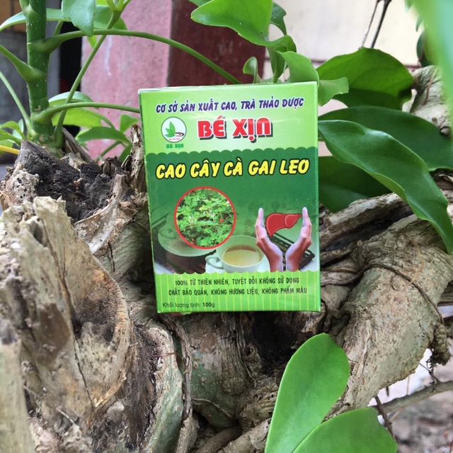 Cao cà gai leo Bé Xịn Giải Pháp Cho Lá Gan Khoẻ Lọ 100gr