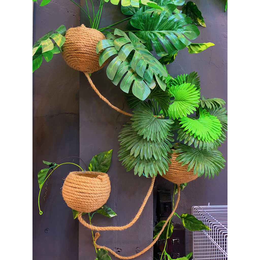 Tổ ngủ dành cho sóc ,hamster