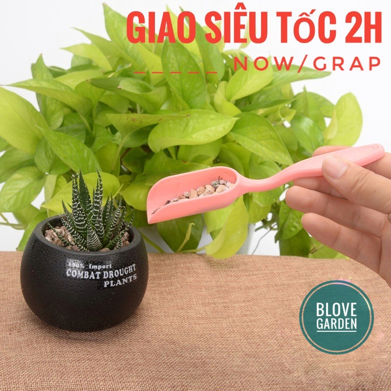 Muôi xúc đất trồng cây cảnh để bàn, sen đá, xương rồng, chậu cây mini, phụ kiện tiểu cảnh