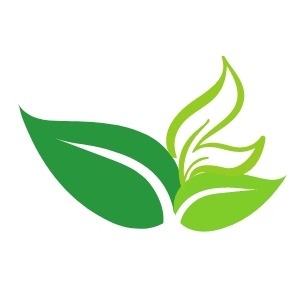 Thế Giới Thảo Dược Hàn Thúy