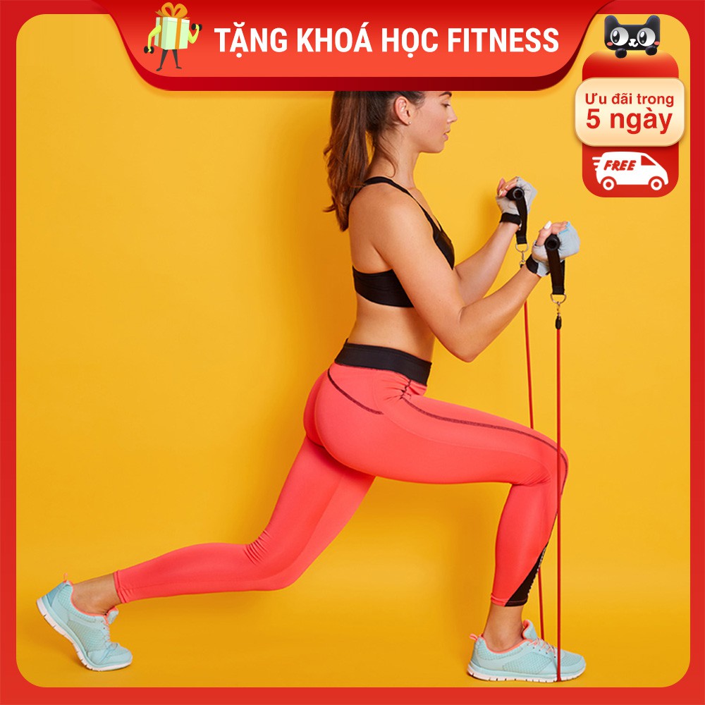 Dây Kháng Lực Đàn Hồi Resistance Band Có Tay Cầm | Tặng File Bài Tập