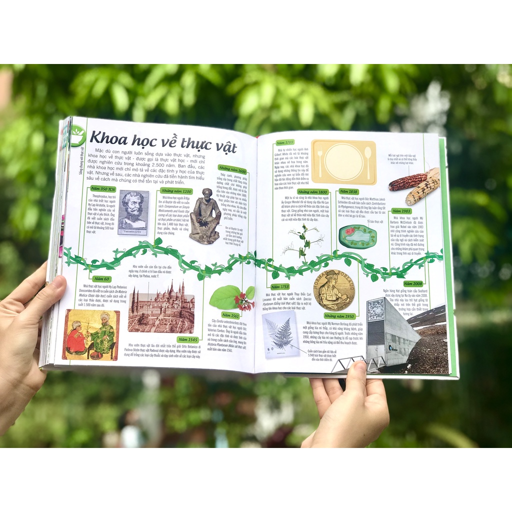 SÁCH - BÁCH KHOA THƯ VỀ THẾ GIỚI THỰC VẬT - CÂY, LÁ, HOA VÀ HẠT