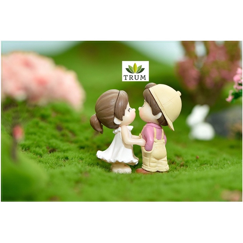 Đôi Tình Nhân Hạnh Phúc ( Giá 1 đôi) Phụ kiện trang trí tiểu cảnh sen đá terrarium