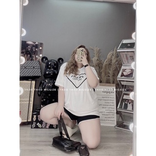 [MÚP BIGSIZE 60-100KG] Áo phông thun PRADA