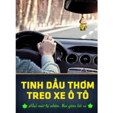 Tinh dầu treo xe, treo tủ quần áo  lọ 10ml ( sả chanh, trầm hương, quế, bạc hà, cà phê, oải hương, bưởi )