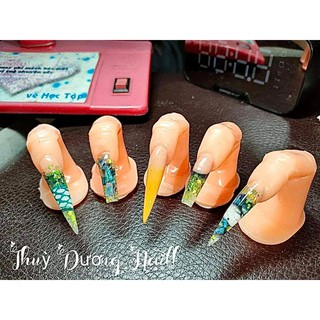 ngón tay mẫu nail