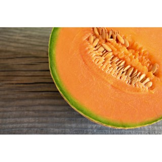 HẠT GIỐNG DƯA TÂY ( DƯA LƯỚI )