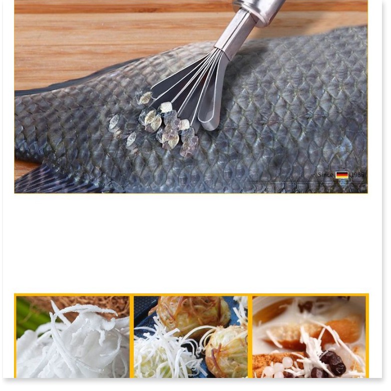 Đánh vảy cá  ⛔GIÁ SỈ⛔  Cây cạo vảy cá, nạo dừa chất liệu thép không gỉ, bền bỉ 3176