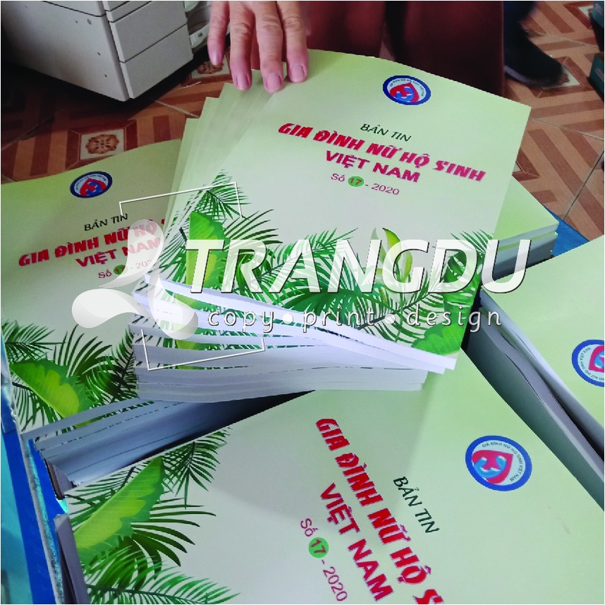 In tài liệu, in trắng đen, in màu theo yêu cầu