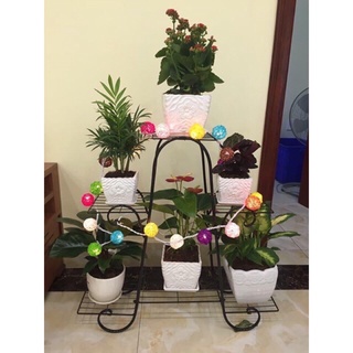 kệ để chậu hoa cây cảnh siêu hót (6tầng)