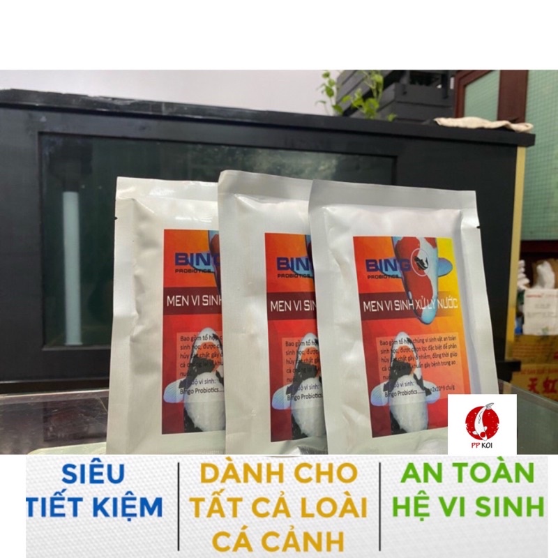 Men vi sinh xử lý nước Bingo - Gói 100gram