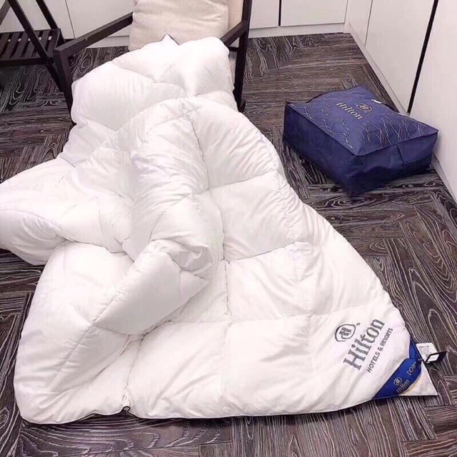 Ruột chặn Hilton - Ruột chăn lông vũ Hilton hàng 5* cao cấp