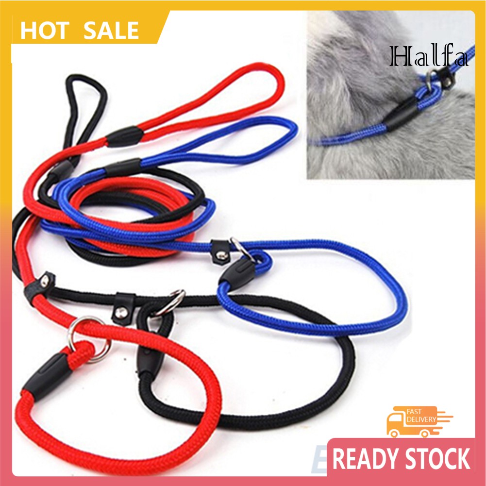 Dây Đeo Huấn Luyện Chó Bằng Nylon Có Thể Điều Chỉnh Kích Cỡ Tiện Dụng