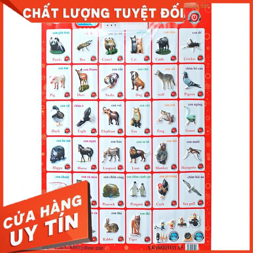 [XẢ KHO+FREE SHIP]  Bảng chữ cái điện tử phát âm đánh vần cho bé sử dụng 2 mặt