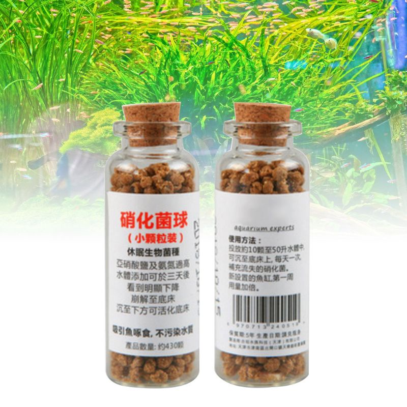 Bóng Vi Khuẩn Cho Bể Cá